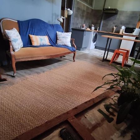 Studio 1 Chambre Ideal Salaries Nomades Montauban Luaran gambar